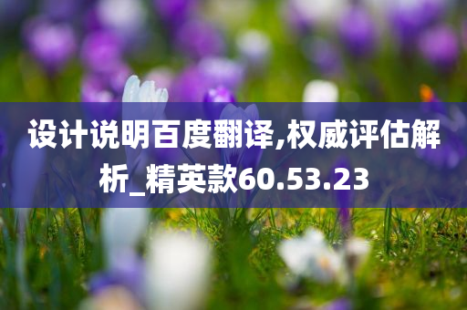 设计说明百度翻译,权威评估解析_精英款60.53.23