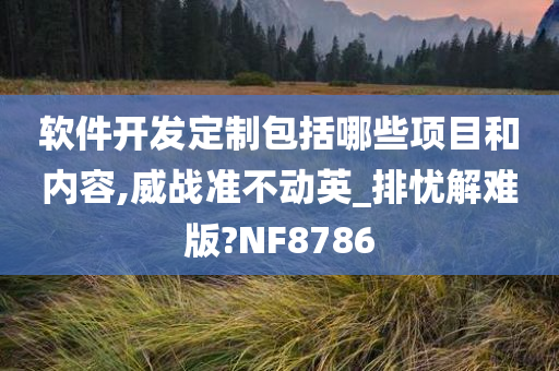 软件开发定制包括哪些项目和内容,威战准不动英_排忧解难版?NF8786