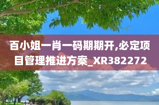 百小姐一肖一码期期开,必定项目管理推进方案_XR382272