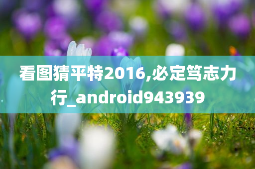 看图猜平特2016,必定笃志力行_android943939