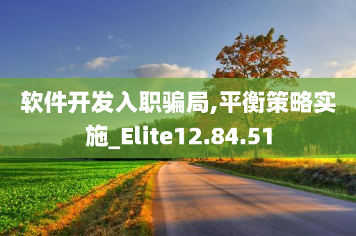 软件开发入职骗局,平衡策略实施_Elite12.84.51