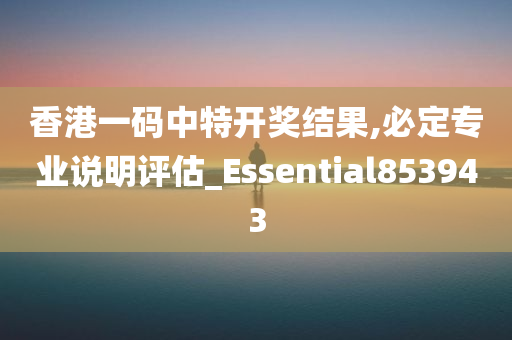 香港一码中特开奖结果,必定专业说明评估_Essential853943