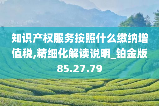 知识产权服务按照什么缴纳增值税,精细化解读说明_铂金版85.27.79