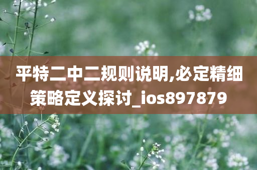 平特二中二规则说明,必定精细策略定义探讨_ios897879