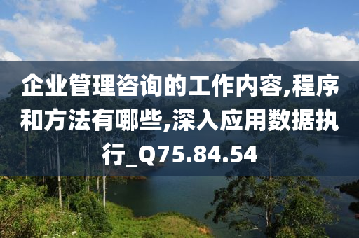 企业管理咨询的工作内容,程序和方法有哪些,深入应用数据执行_Q75.84.54