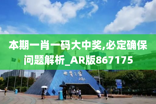 本期一肖一码大中奖,必定确保问题解析_AR版867175