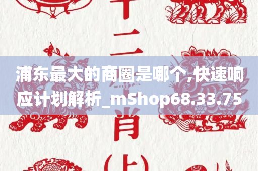 浦东最大的商圈是哪个,快速响应计划解析_mShop68.33.75