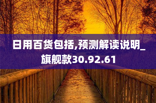 日用百货包括,预测解读说明_旗舰款30.92.61