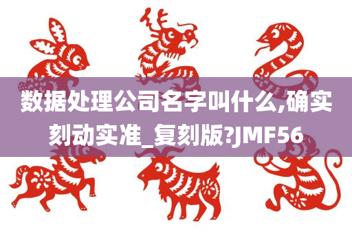 数据处理公司名字叫什么,确实刻动实准_复刻版?JMF56