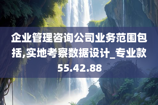 企业管理咨询公司业务范围包括,实地考察数据设计_专业款55.42.88