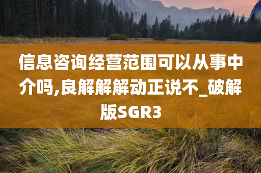 信息咨询经营范围可以从事中介吗,良解解解动正说不_破解版SGR3