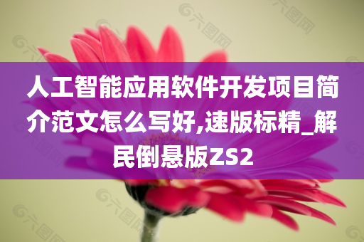 人工智能应用软件开发项目简介范文怎么写好,速版标精_解民倒悬版ZS2