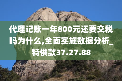 代理记账一年800元还要交税吗为什么,全面实施数据分析_特供款37.27.88