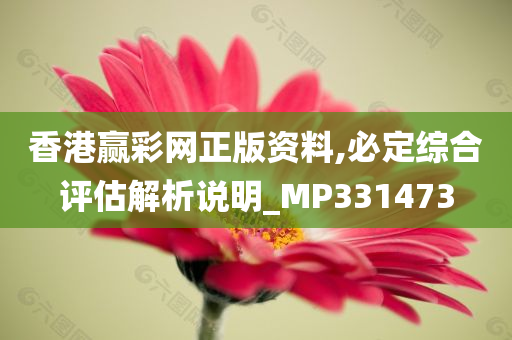 香港赢彩网正版资料,必定综合评估解析说明_MP331473