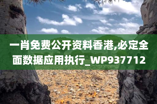 一肖免费公开资料香港,必定全面数据应用执行_WP937712