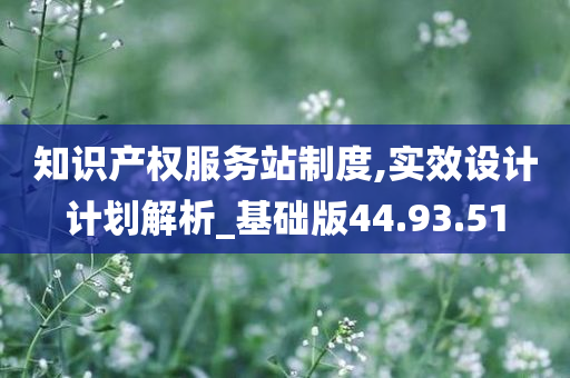 知识产权服务站制度,实效设计计划解析_基础版44.93.51