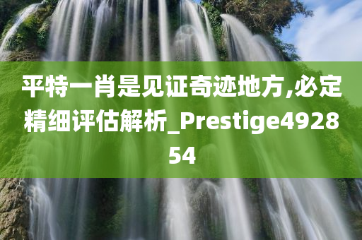 平特一肖是见证奇迹地方,必定精细评估解析_Prestige492854