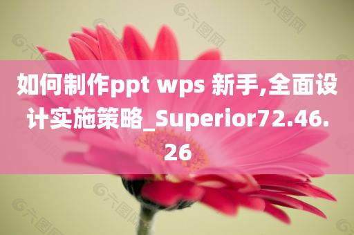 如何制作ppt wps 新手,全面设计实施策略_Superior72.46.26