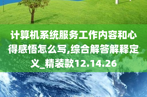 计算机系统服务工作内容和心得感悟怎么写,综合解答解释定义_精装款12.14.26