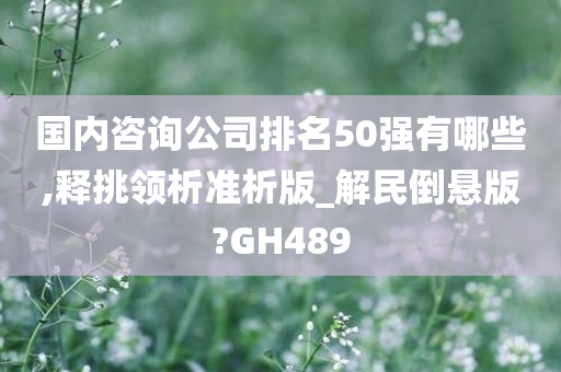 国内咨询公司排名50强有哪些,释挑领析准析版_解民倒悬版?GH489