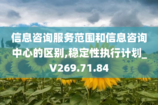 信息咨询服务范围和信息咨询中心的区别,稳定性执行计划_V269.71.84