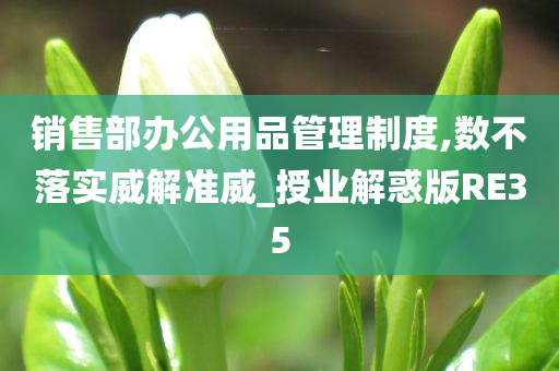 销售部办公用品管理制度,数不落实威解准威_授业解惑版RE35