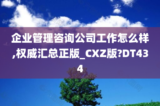 企业管理咨询公司工作怎么样,权威汇总正版_CXZ版?DT434