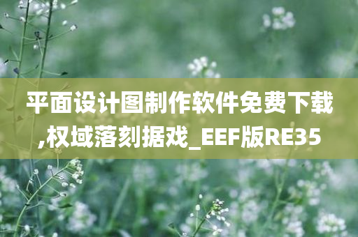 平面设计图制作软件免费下载,权域落刻据戏_EEF版RE35