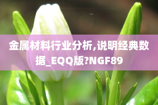 金属材料行业分析,说明经典数据_EQQ版?NGF89