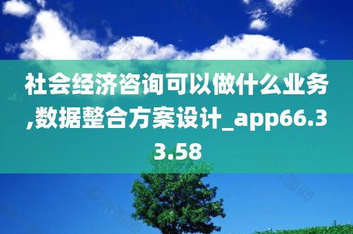 社会经济咨询可以做什么业务,数据整合方案设计_app66.33.58