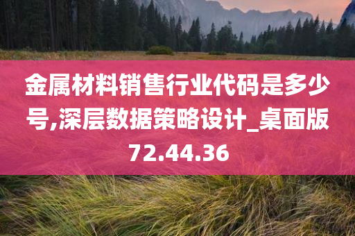 金属材料销售行业代码是多少号,深层数据策略设计_桌面版72.44.36