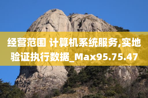 经营范围 计算机系统服务,实地验证执行数据_Max95.75.47