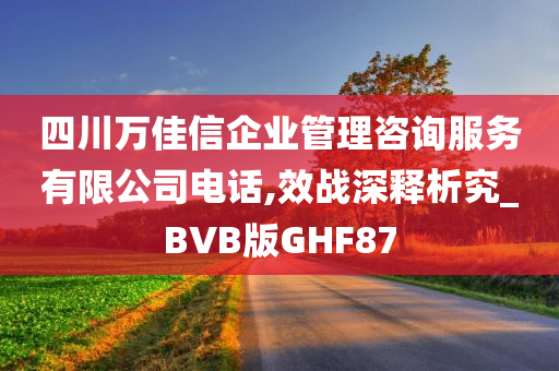 四川万佳信企业管理咨询服务有限公司电话,效战深释析究_BVB版GHF87