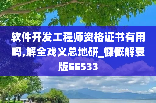 软件开发工程师资格证书有用吗,解全戏义总地研_慷慨解囊版EE533