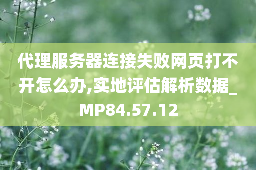 代理服务器连接失败网页打不开怎么办,实地评估解析数据_MP84.57.12