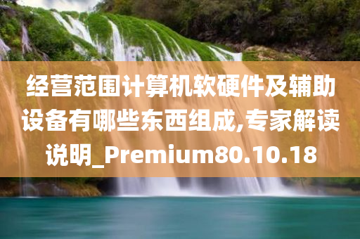 经营范围计算机软硬件及辅助设备有哪些东西组成,专家解读说明_Premium80.10.18