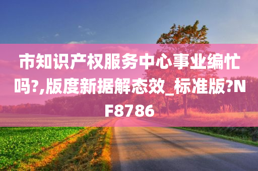 市知识产权服务中心事业编忙吗?,版度新据解态效_标准版?NF8786