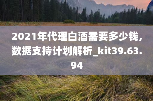 2021年代理白酒需要多少钱,数据支持计划解析_kit39.63.94