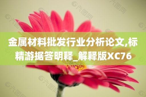 金属材料批发行业分析论文,标精游据答明释_解释版XC76