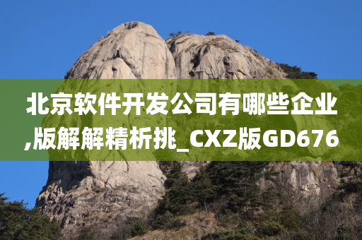 北京软件开发公司有哪些企业,版解解精析挑_CXZ版GD676