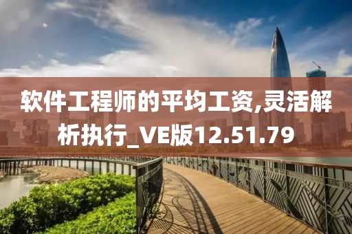 软件工程师的平均工资,灵活解析执行_VE版12.51.79