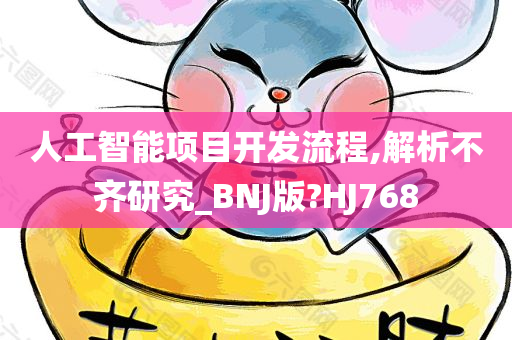 人工智能项目开发流程,解析不齐研究_BNJ版?HJ768