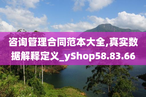 咨询管理合同范本大全,真实数据解释定义_yShop58.83.66