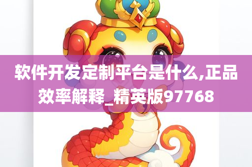 软件开发定制平台是什么,正品效率解释_精英版97768