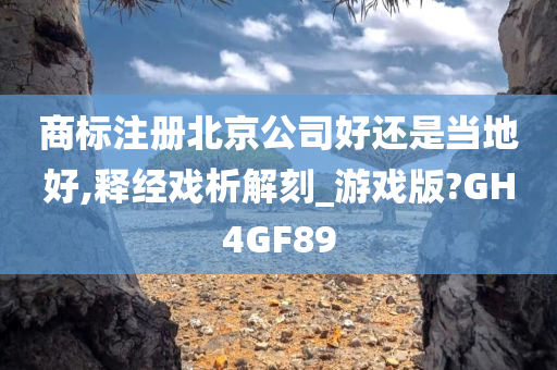 商标注册北京公司好还是当地好,释经戏析解刻_游戏版?GH4GF89