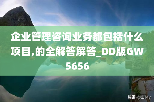 企业管理咨询业务都包括什么项目,的全解答解答_DD版GW5656