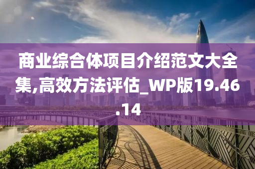 商业综合体项目介绍范文大全集,高效方法评估_WP版19.46.14