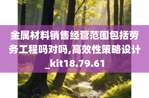 金属材料销售经营范围包括劳务工程吗对吗,高效性策略设计_kit18.79.61