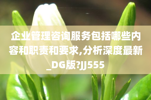 企业管理咨询服务包括哪些内容和职责和要求,分析深度最新_DG版?JJ555