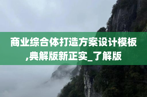 商业综合体打造方案设计模板,典解版新正实_了解版